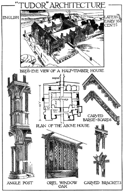 tudor e shape